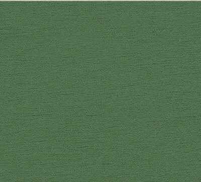 TC13 Green Bottle