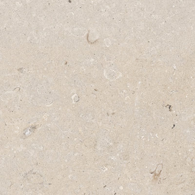 Antique Cream