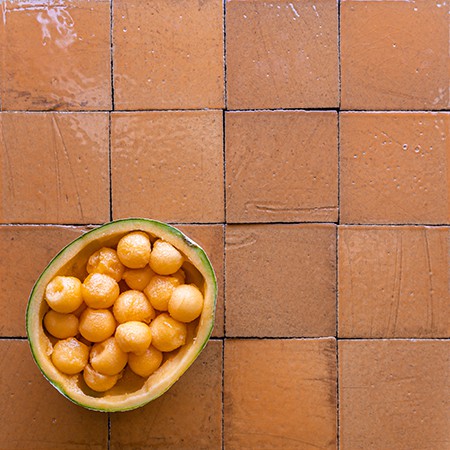 staged-cantaloupe-clara-tierra-madre