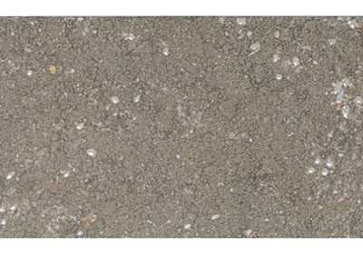 Grigio (SD OM Oval)